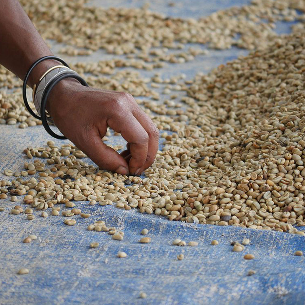 Kaffee ORIGIN VIRGIN FOREST BUGINDA - 10 Kapseln