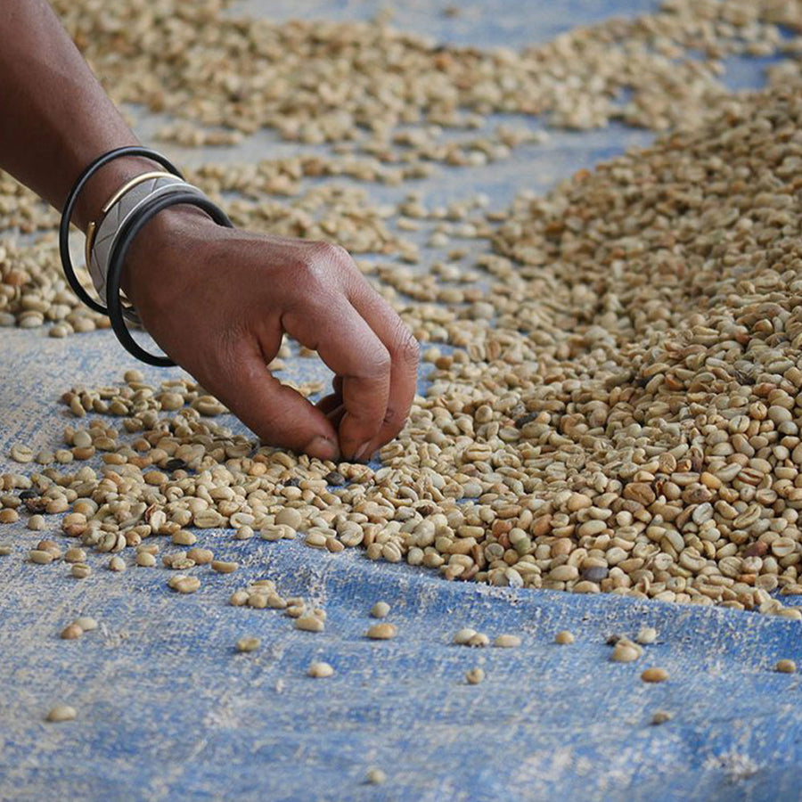 Martello Kaffee CAFE GRANDE 10 Kapseln